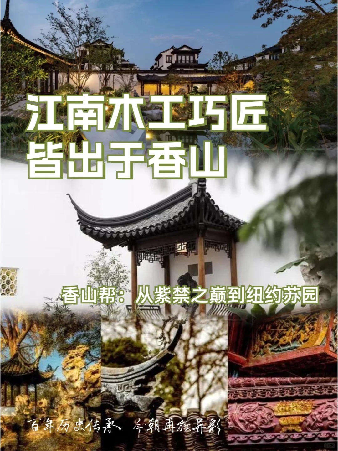 _5_树乐派_来自小红书网页版.jpg